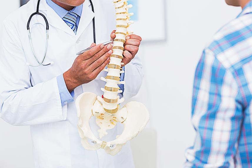 doctor explaining spine